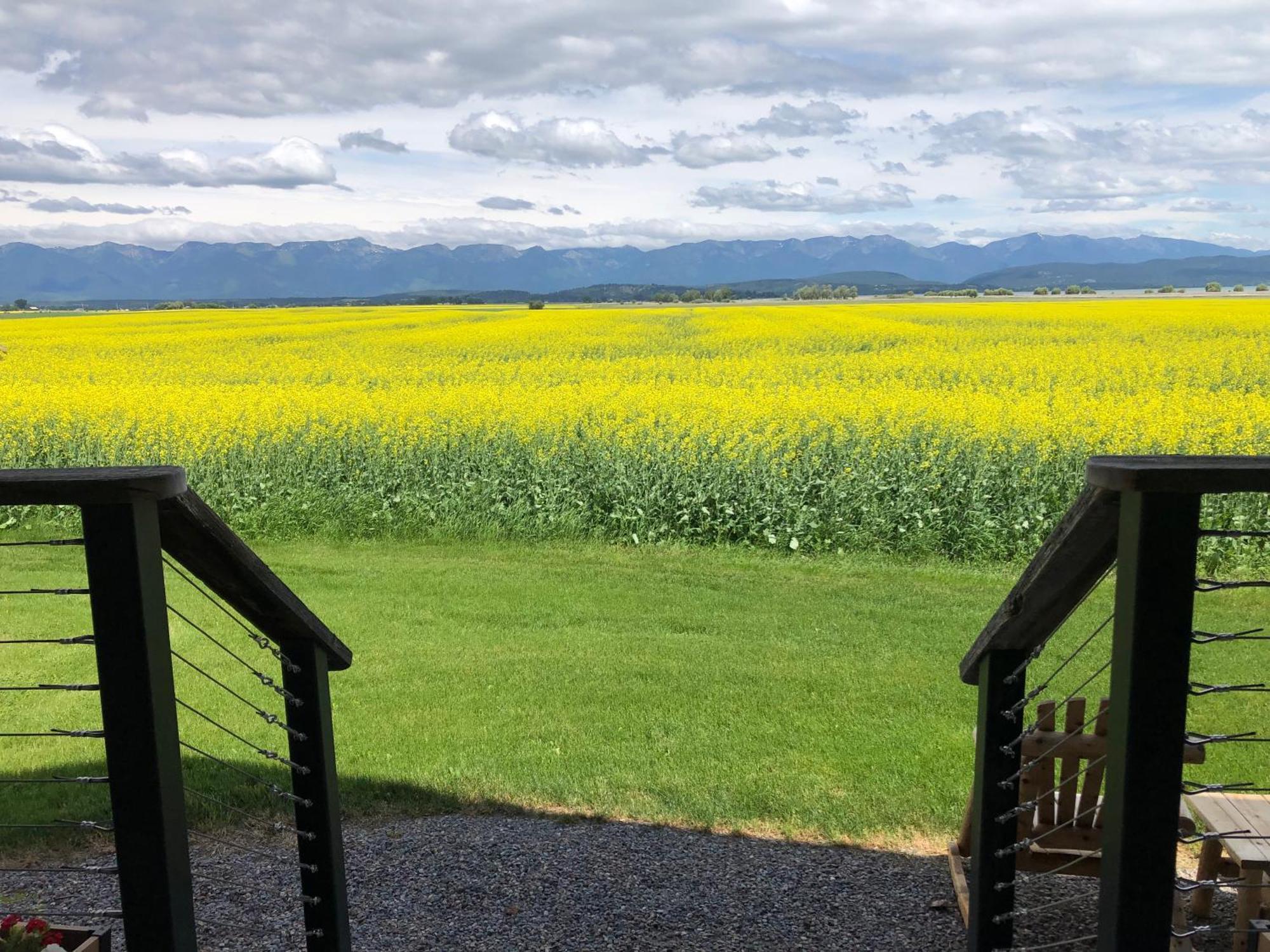 New Cabin With Spectacular Views Of Flathead Lake. Somers Extérieur photo